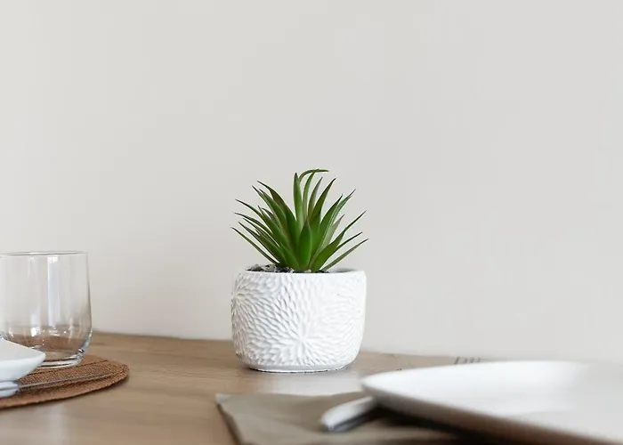 Victoria Spa, Au Coeur Du Centre-ville Hammam -wifi -grand Lit Double Queen Size 160x200cm *